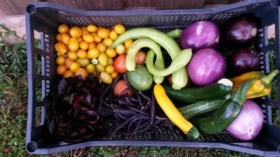 298.jpg (97.3 KiB) Osservato 539 volte 298.jpg