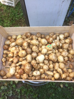 17.10.2016 017.JPG (251.94 KiB) Osservato 526 volte 17.10.2016 017.JPG