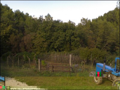 09102016orto.jpg (194.35 KiB) Osservato 787 volte 09102016orto.jpg