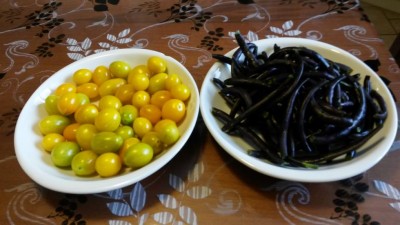 308.jpg (71.49 KiB) Osservato 678 volte 308.jpg