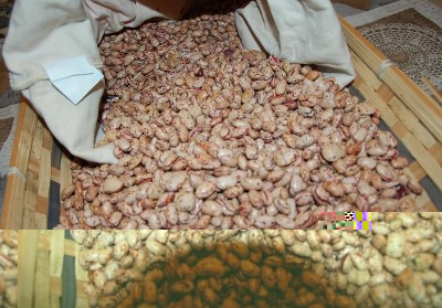 366.JPG (232.21 KiB) Osservato 774 volte 366.JPG