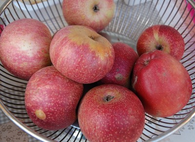 367.JPG (225.23 KiB) Osservato 774 volte 367.JPG