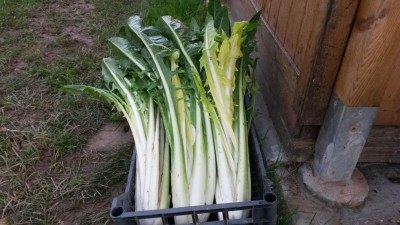 317.jpg (96.24 KiB) Osservato 698 volte 317.jpg