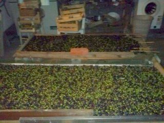 CAM02609 (FILEminimizer).jpg CAM02609 (FILEminimizer).jpg