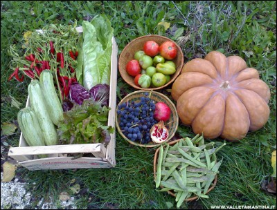 12112016raccolto.jpg (325.69 KiB) Osservato 632 volte 12112016raccolto.jpg