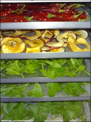 13102016essiccatore.jpg (295.5 KiB) Osservato 607 volte 13102016essiccatore.jpg