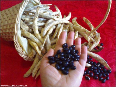 10102016fagioli-neri.jpg (274.21 KiB) Osservato 606 volte 10102016fagioli-neri.jpg