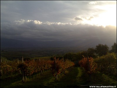 20102016vigna3.jpg (122.03 KiB) Osservato 606 volte 20102016vigna3.jpg