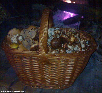 31102016funghi2.jpg (248.27 KiB) Osservato 606 volte 31102016funghi2.jpg