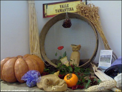 06112016mercatino2.jpg (253.52 KiB) Osservato 605 volte 06112016mercatino2.jpg