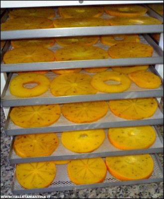 01122016kaki.jpg (182.25 KiB) Osservato 1007 volte 01122016kaki.jpg