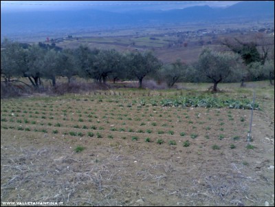 01022017orto-casa.jpg (210.48 KiB) Osservato 3786 volte 01022017orto-casa.jpg