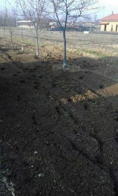 IMG-20170220-WA0005.jpg (118.36 KiB) Osservato 654 volte IMG-20170220-WA0005.jpg