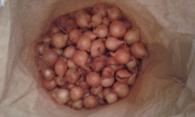 1,5 kg di bulbi di cipolla bionda / 20170221_113222.jpg 20170221_113222.jpg