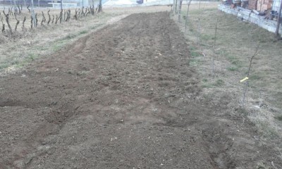 IMG-20170221-WA0007.jpg (111.32 KiB) Osservato 650 volte IMG-20170221-WA0007.jpg