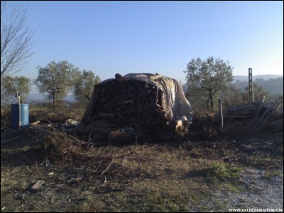 15022017catasta.jpg (178.47 KiB) Osservato 801 volte 15022017catasta.jpg