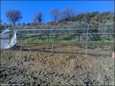 16022017serra.jpg (269.27 KiB) Osservato 798 volte 16022017serra.jpg