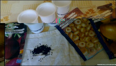 18022017semi-cipolle.jpg (136.26 KiB) Osservato 799 volte 18022017semi-cipolle.jpg