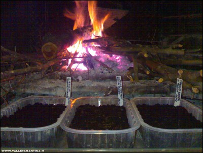 20022017semina-cipolle.jpg (304.72 KiB) Osservato 799 volte 20022017semina-cipolle.jpg