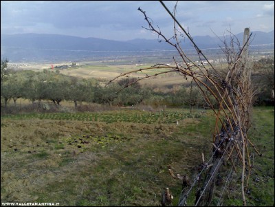 20022017orto-vigna.jpg (232.83 KiB) Osservato 794 volte 20022017orto-vigna.jpg