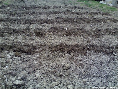 23022017solchi-patate.jpg (375.82 KiB) Osservato 794 volte 23022017solchi-patate.jpg