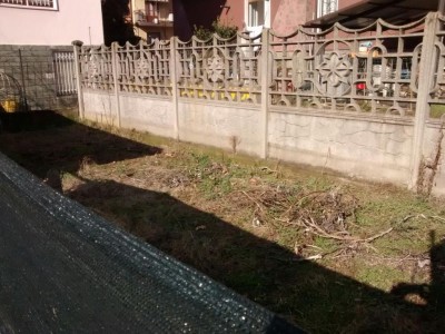 Orto 1 / IMG-20170225-WA0007.jpg IMG-20170225-WA0007.jpg