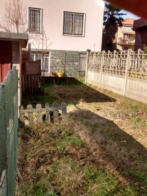 Orto 2 / IMG-20170225-WA0008.jpg IMG-20170225-WA0008.jpg