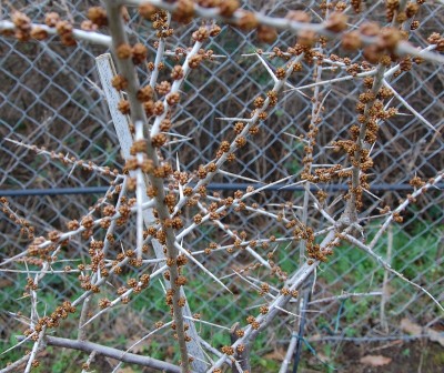 35.JPG (312.06 KiB) Osservato 902 volte 35.JPG