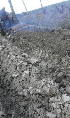 IMG-20170304-WA0005.jpg (122.75 KiB) Osservato 646 volte IMG-20170304-WA0005.jpg