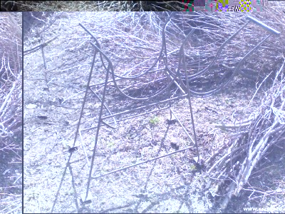 02032017fascine.jpg (368.66 KiB) Osservato 751 volte 02032017fascine.jpg