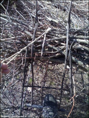 02032017fascine2.jpg (340.53 KiB) Osservato 751 volte 02032017fascine2.jpg