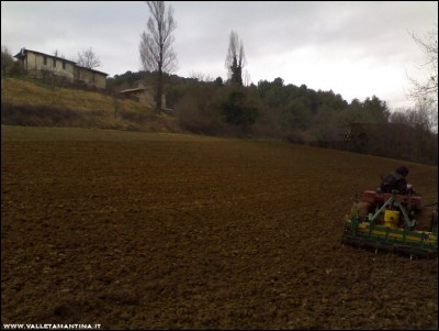 04032017semina-ceci.jpg (164.91 KiB) Osservato 751 volte 04032017semina-ceci.jpg