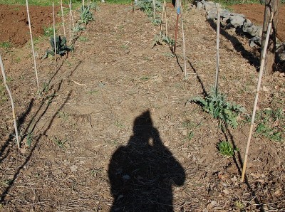 41.JPG (393.17 KiB) Osservato 815 volte 41.JPG