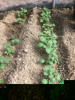 07.03.17 008.JPG (369.57 KiB) Osservato 652 volte 07.03.17 008.JPG