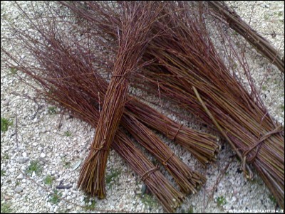 06032017salice.jpg (302.27 KiB) Osservato 743 volte 06032017salice.jpg