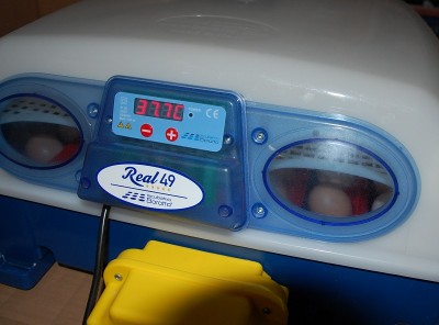 DSC_1601.JPG (154.36 KiB) Osservato 785 volte DSC_1601.JPG