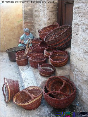 gaite-2011.jpg (300.94 KiB) Osservato 703 volte gaite-2011.jpg