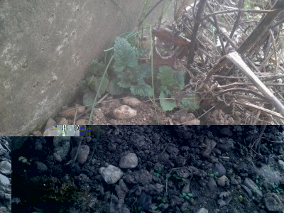 2017-03-19 14.58.53.jpg (139.55 KiB) Osservato 756 volte 2017-03-19 14.58.53.jpg