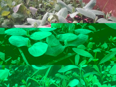 2017-03-19 14.57.27.jpg (124.33 KiB) Osservato 753 volte 2017-03-19 14.57.27.jpg