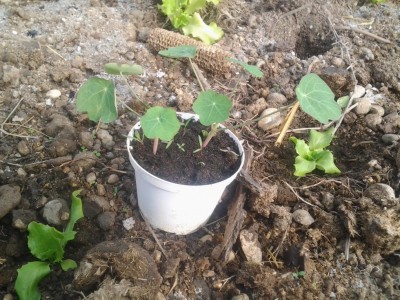 2017-03-19 14.58.01.jpg (170.11 KiB) Osservato 753 volte 2017-03-19 14.58.01.jpg