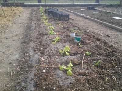 2017-03-19 14.57.09.jpg (171.54 KiB) Osservato 753 volte 2017-03-19 14.57.09.jpg