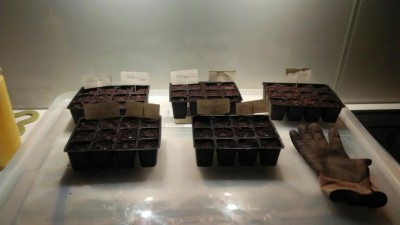 WhatsApp Image 2017-03-23 at 06.11.56.jpeg (43.59 KiB) Osservato 742 volte WhatsApp Image 2017-03-23 at 06.11.56.jpeg