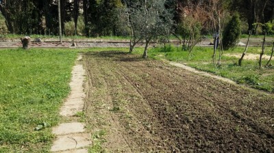 25.03.jpg (187.04 KiB) Osservato 1728 volte 25.03.jpg