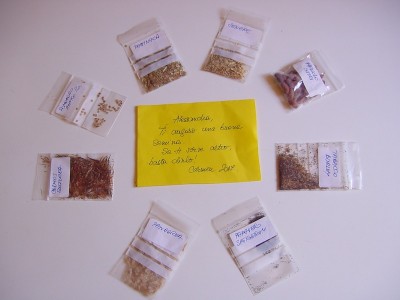 semi di Carmen.JPG (95.52 KiB) Osservato 818 volte semi di Carmen.JPG