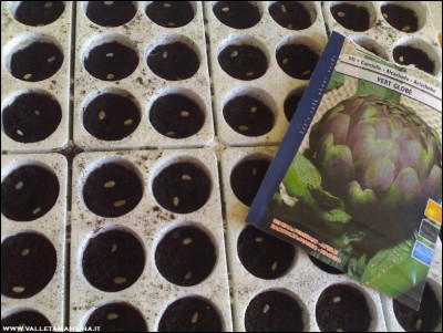 09032017semina-carciofi.jpg (218.26 KiB) Osservato 575 volte 09032017semina-carciofi.jpg