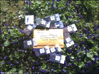 12032017semi-carmen.jpg (294.36 KiB) Osservato 574 volte 12032017semi-carmen.jpg