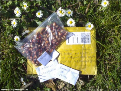 12032017semi-geo.jpg (265.88 KiB) Osservato 574 volte 12032017semi-geo.jpg