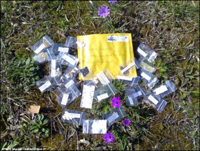 12032017semi-marcello.jpg (364.09 KiB) Osservato 574 volte 12032017semi-marcello.jpg