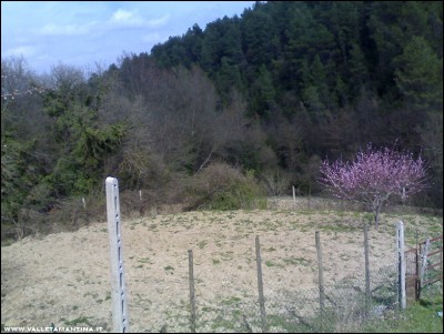 18032017orto.jpg (224.53 KiB) Osservato 574 volte 18032017orto.jpg