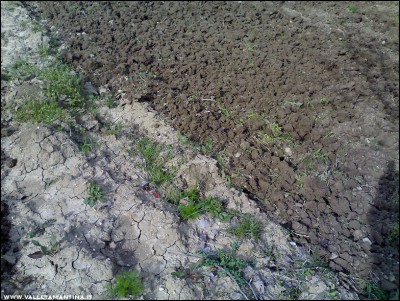 18032017terra.jpg (357.52 KiB) Osservato 574 volte 18032017terra.jpg